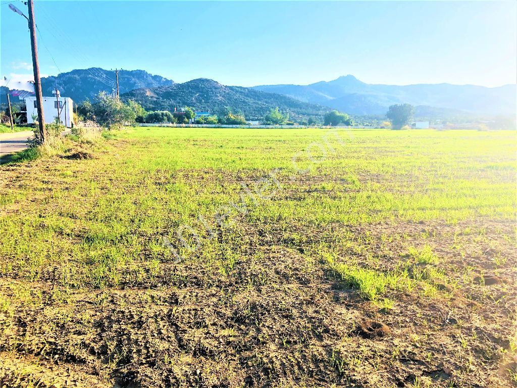 رشته برای فروش in Tatlısu, فاماگوستا