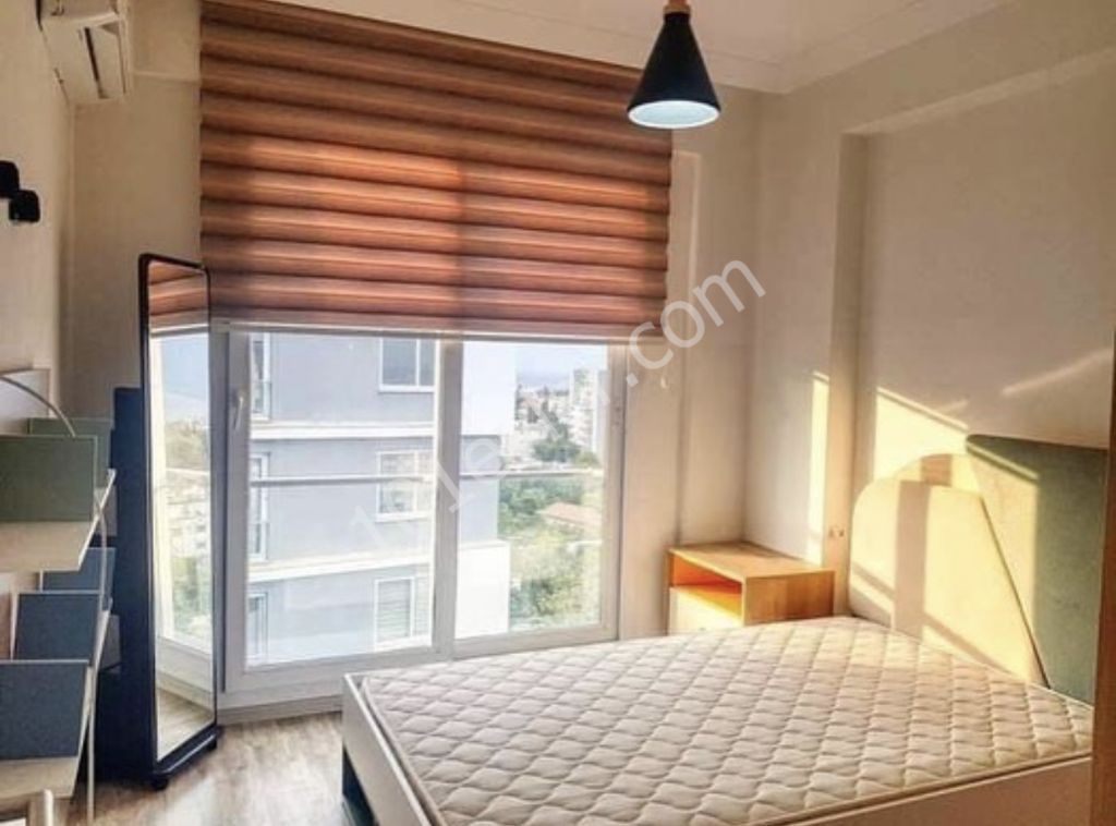 For rent 3+1 penyhouse in city center