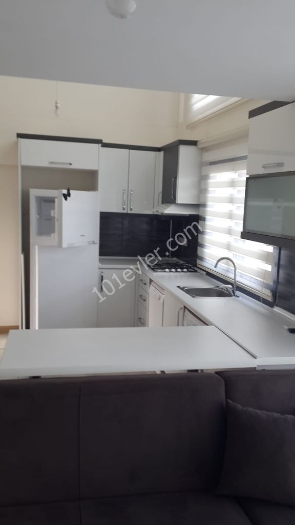 Beautıful bbrand new 1+1 furneshed  apartment for rent