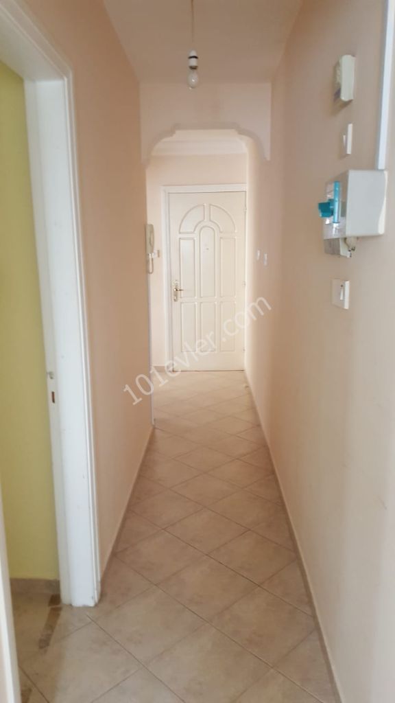 For rent 2+1 apt in city center