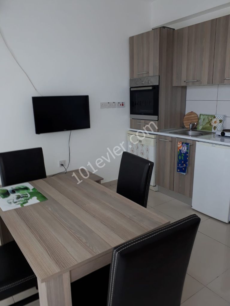 Çatalkoyde 1+1 yeni ful eşyaı kiralık daire 