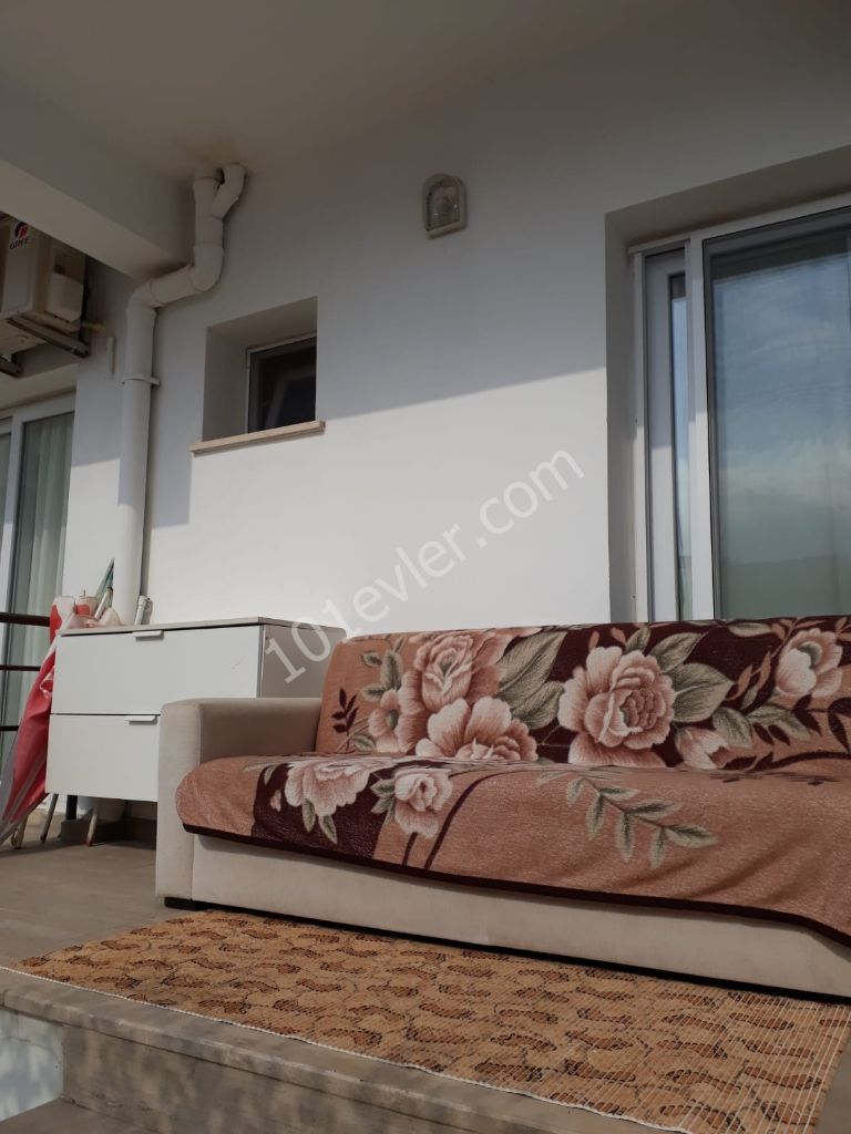 New fully furnished 1+1 apartment for long term rent 