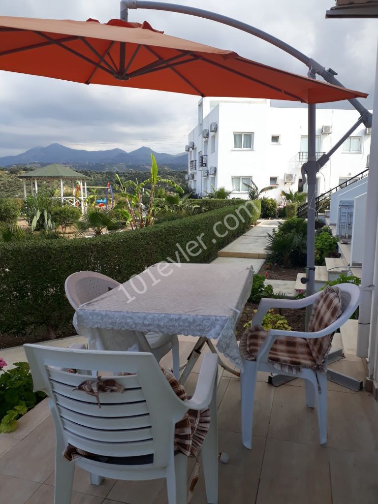 Beautiful one bedroom resale apartment in Catalkoy 