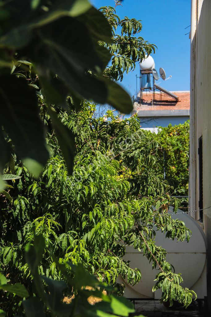 Muhteşem lokasyonda satılık bina(villa)ana caddeye yakın!!!