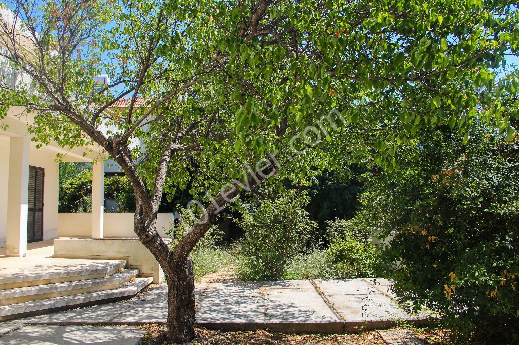 The building(villa) for sale in the magnificent location is close to the main street!!! ** 