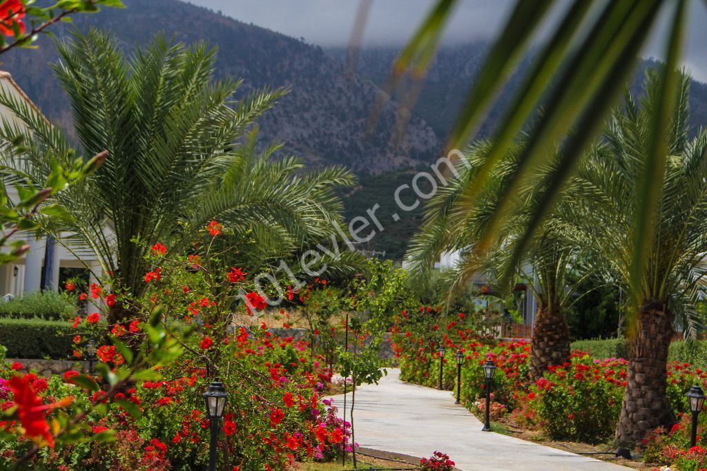 Villa To Rent in Alsancak, Kyrenia