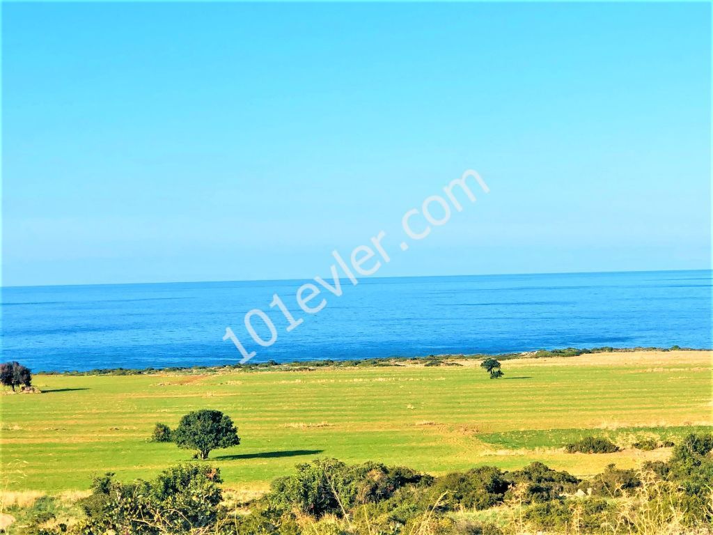 Land for sale with a sandy beach in Famagusta ** 