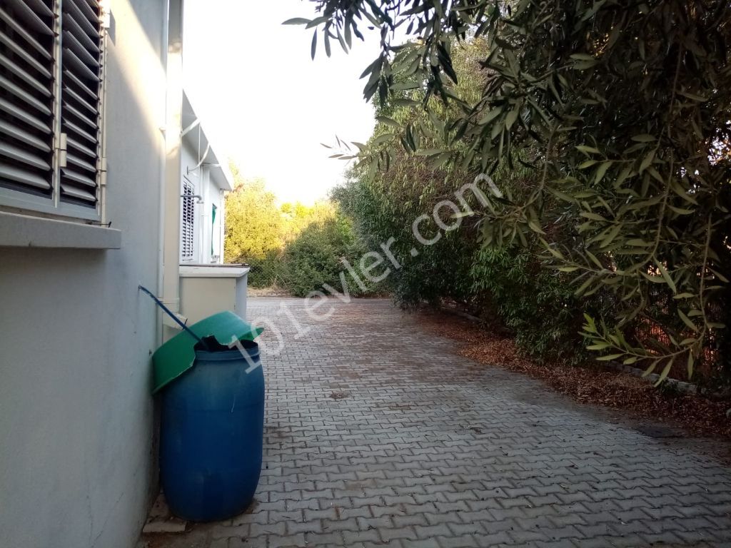 Einfamilienhaus Kaufen in Karşıyaka, Kyrenia