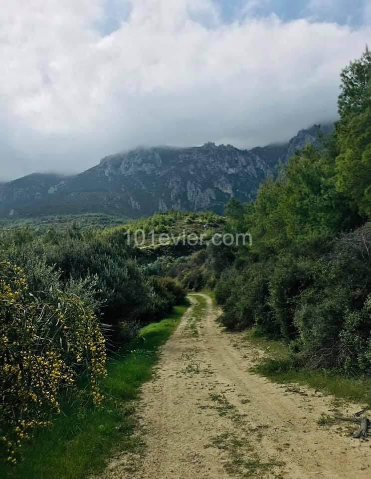 ویلا برای اجاره in Edremit, گیرنه