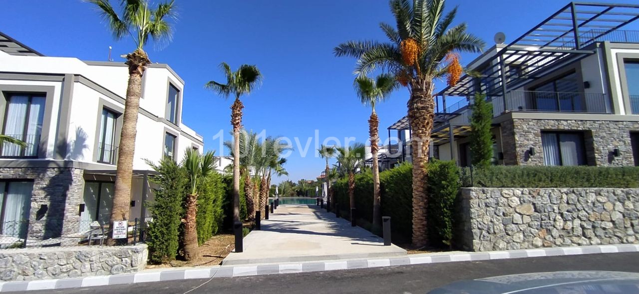 Flat To Rent in Alsancak, Kyrenia