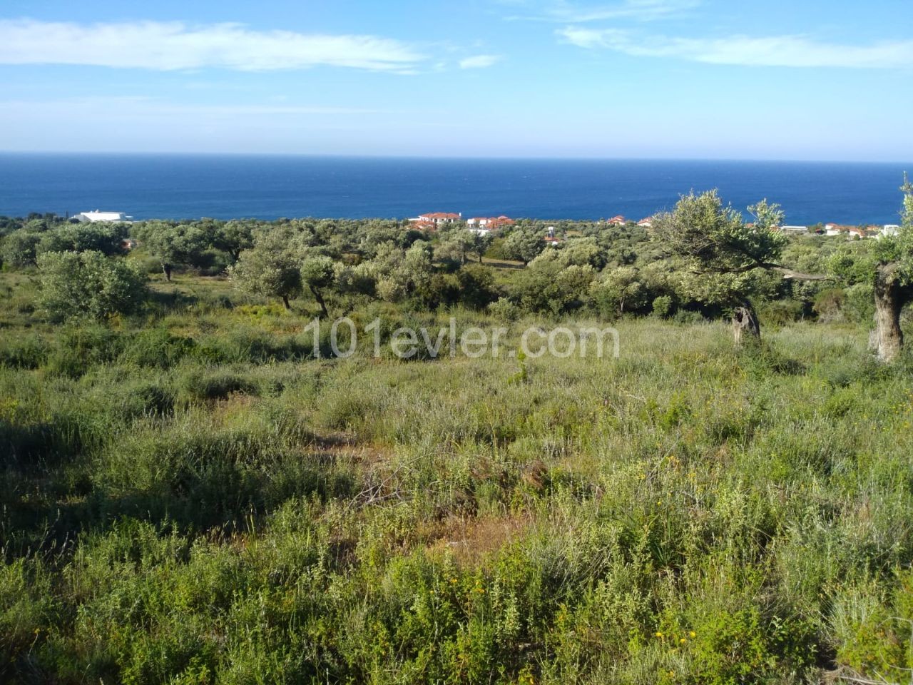 ACRE MIT MEERBLICK AUF FELSEN 41.000 GBP LAND ** 