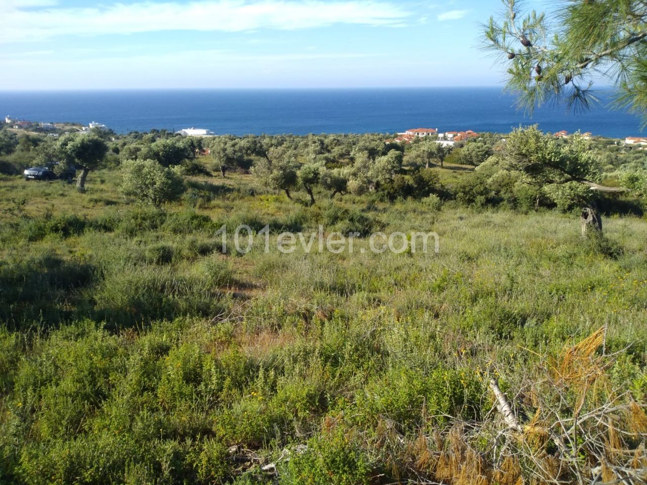 ACRE MIT MEERBLICK AUF FELSEN 41.000 GBP LAND ** 