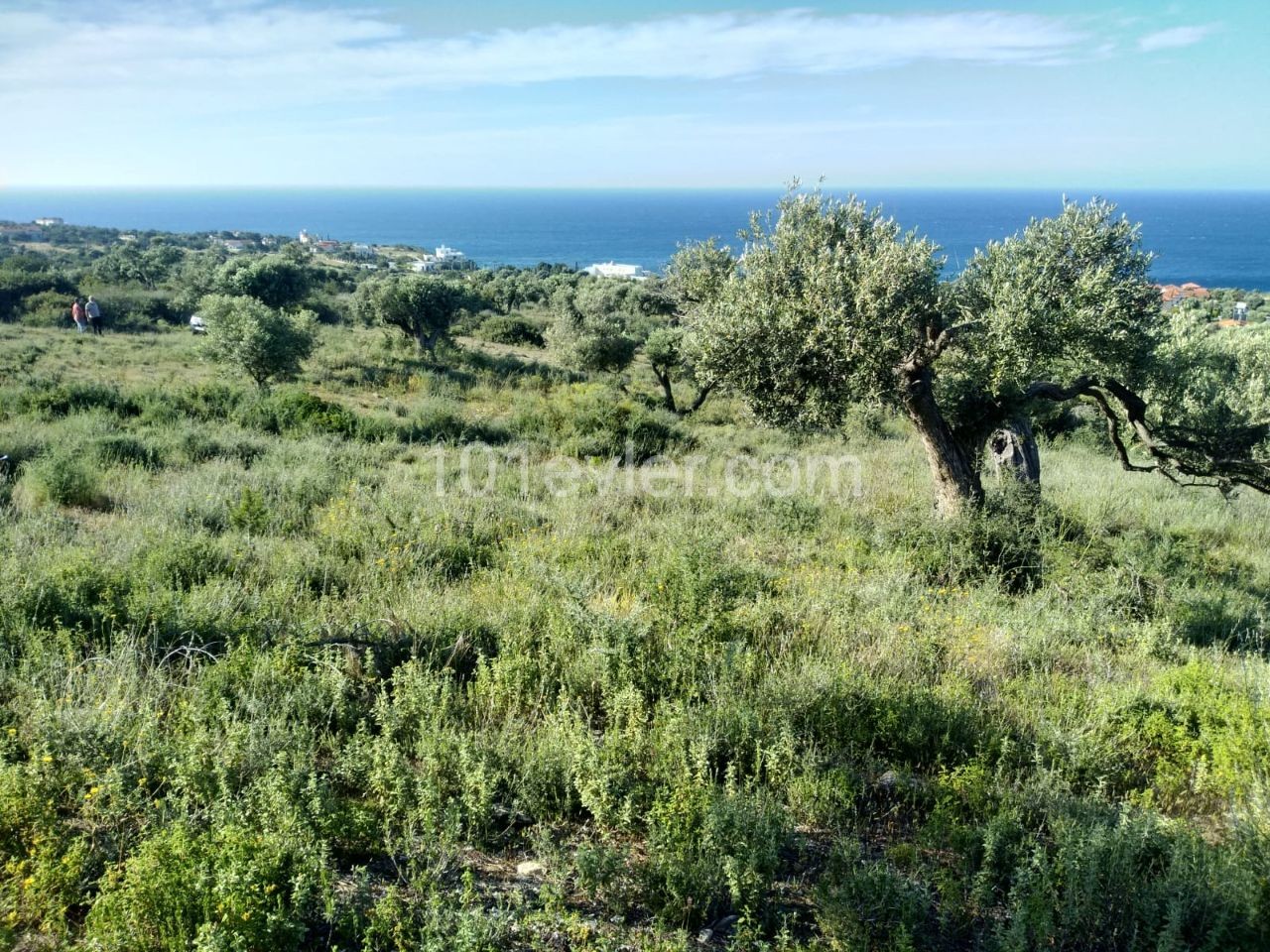 ACRE MIT MEERBLICK AUF FELSEN 41.000 GBP LAND ** 