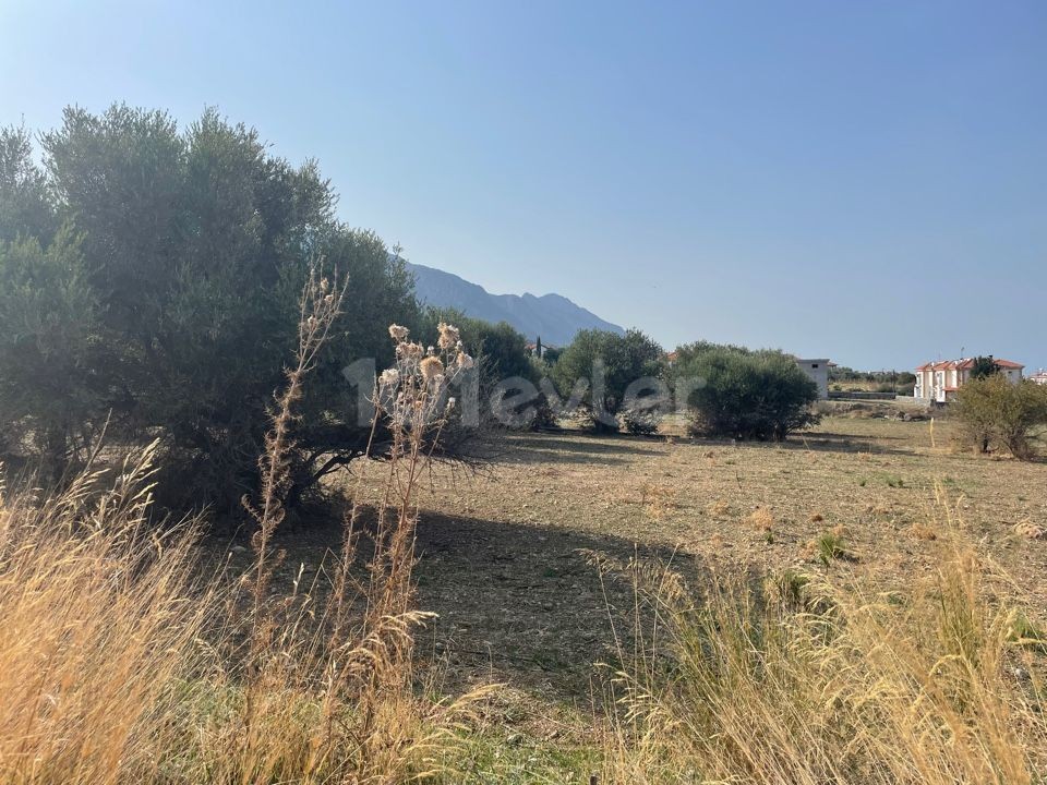 Grundstück mit Meerblick in Alsancak