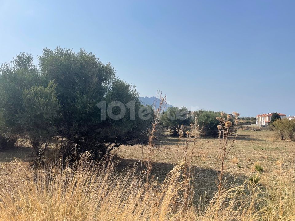 Grundstück mit Meerblick in Alsancak