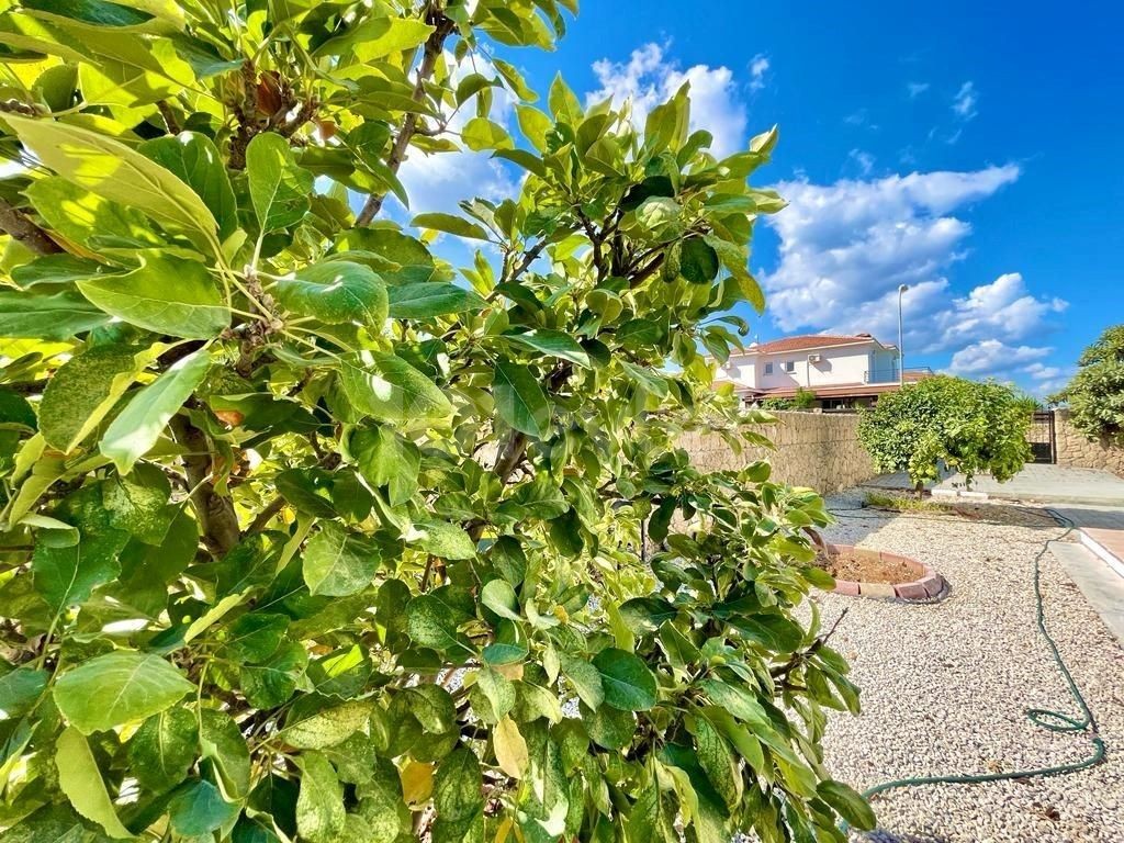 Çatalköy'de kiralık özel havuzlu villa