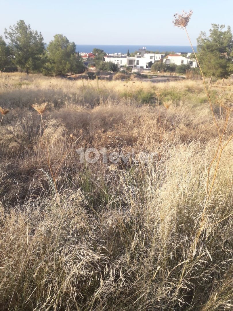 SEA VIEW PLOTS FOR SALE IN EDREMİTTE GUIRNE