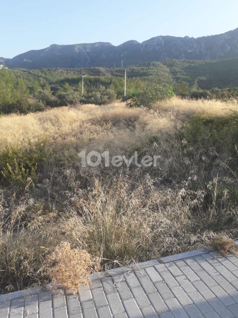 SEA VIEW PLOTS FOR SALE IN EDREMİTTE GUIRNE