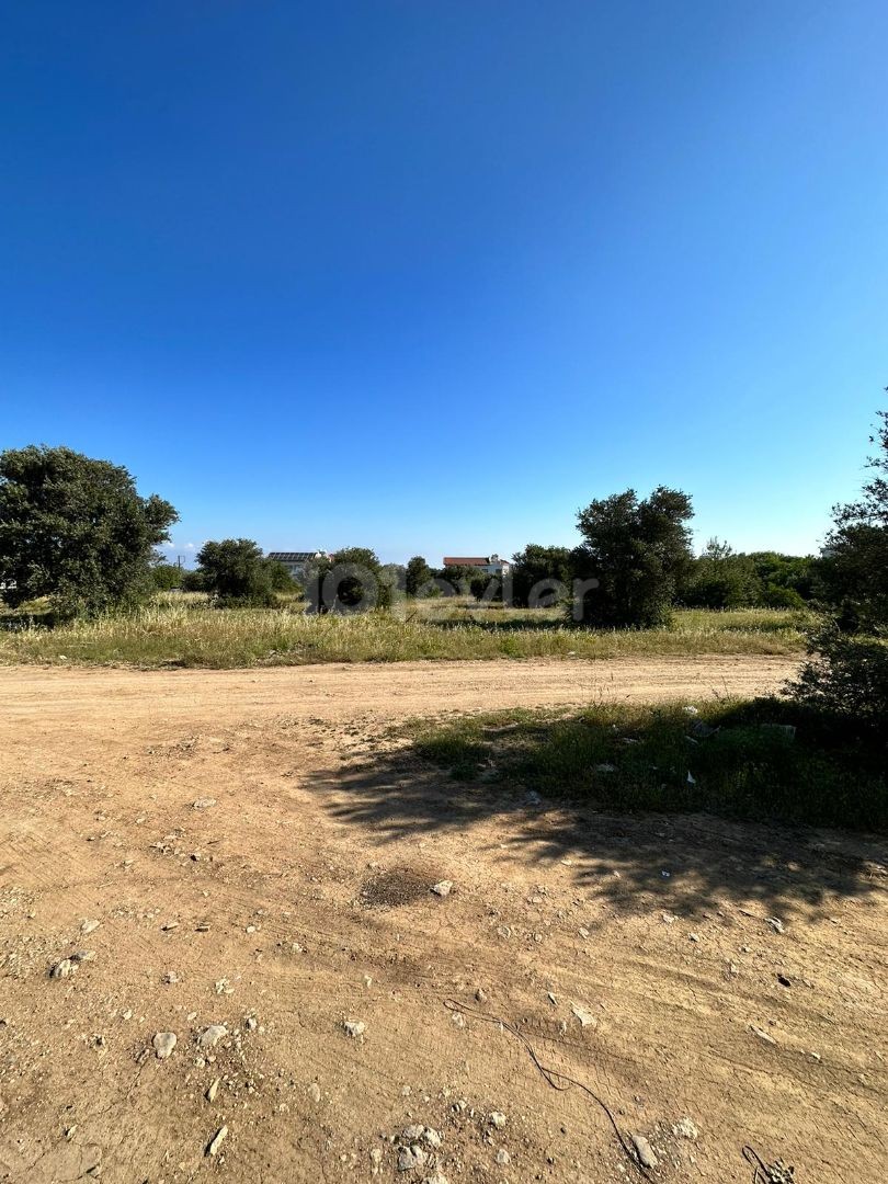 Land with Turkish Kocan for Sale in Zeytinlik, Kyrenia