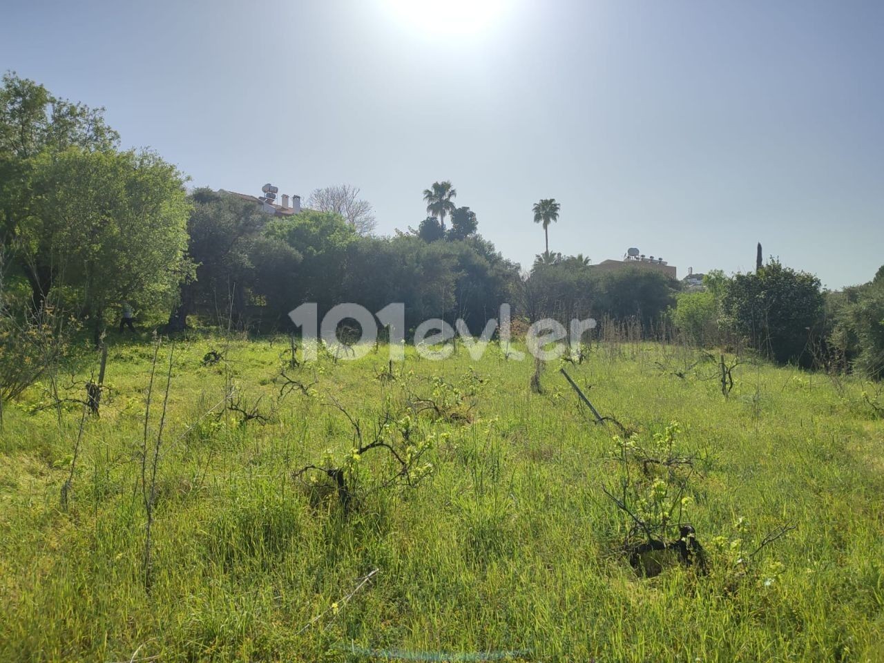 Plot with Magnificent Sea View in Edremit, Kyrenia