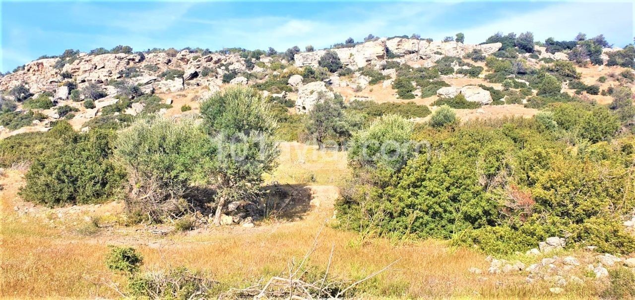 LAND FOR RENT IN KYRENIA ESENTEPE ANNUALLY