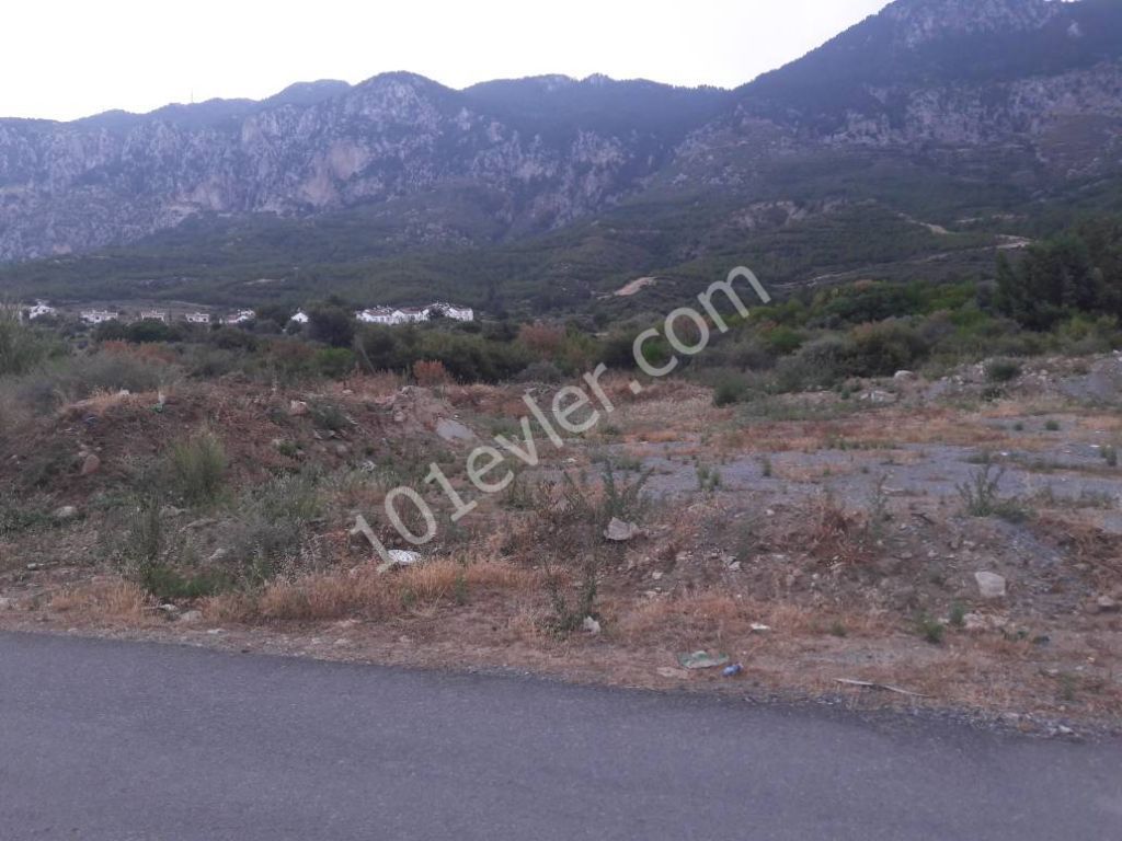 86413 ft2 Land for Sale in Lapta Kyrenia