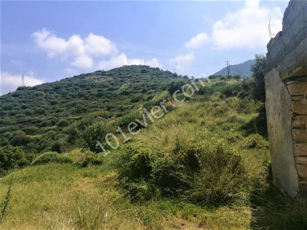 Land for sale in Alsancak, Kyrenia