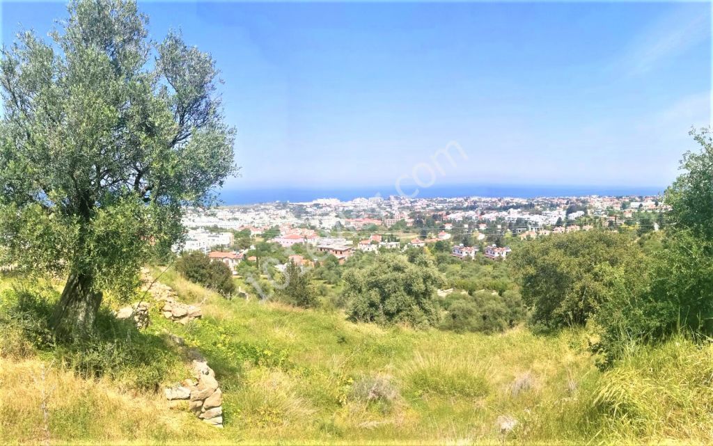 Land for sale in Alsancak, Kyrenia