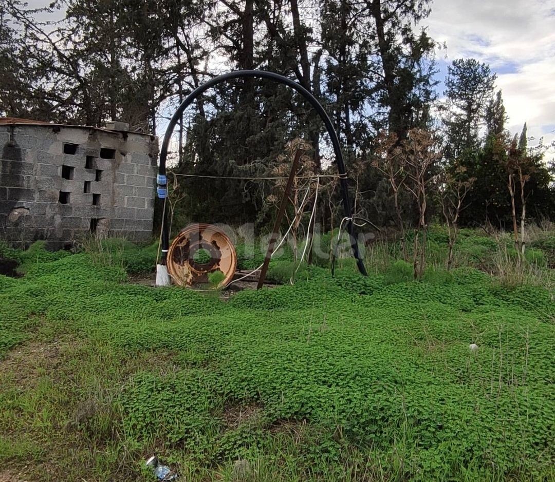 Satılık Konut İmarlı Arsa-Türkmenköy, Gazimağusa