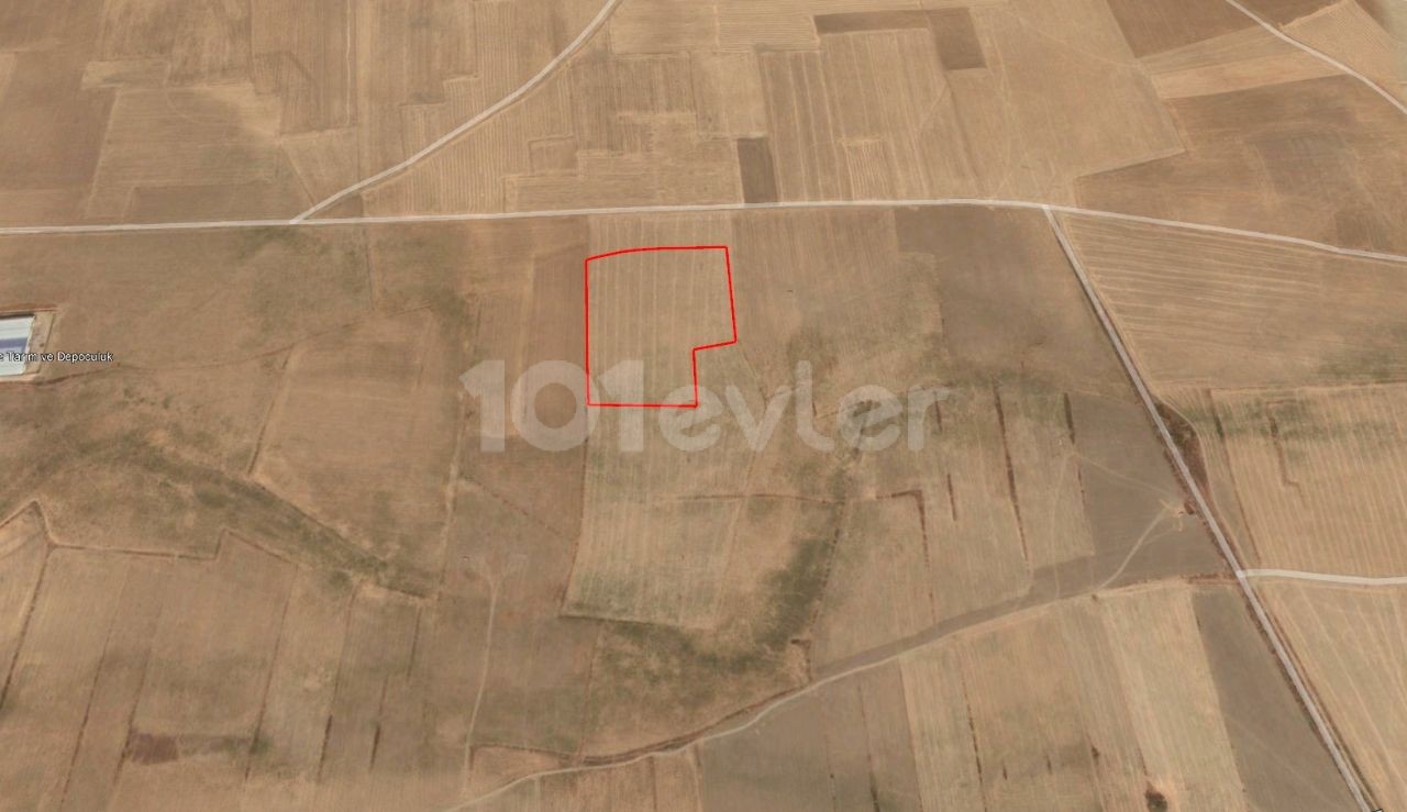 In Famagusta Dörtyol, Land Suitable for Warehouse Construction Open to Exchange with Property Ready for Electricity