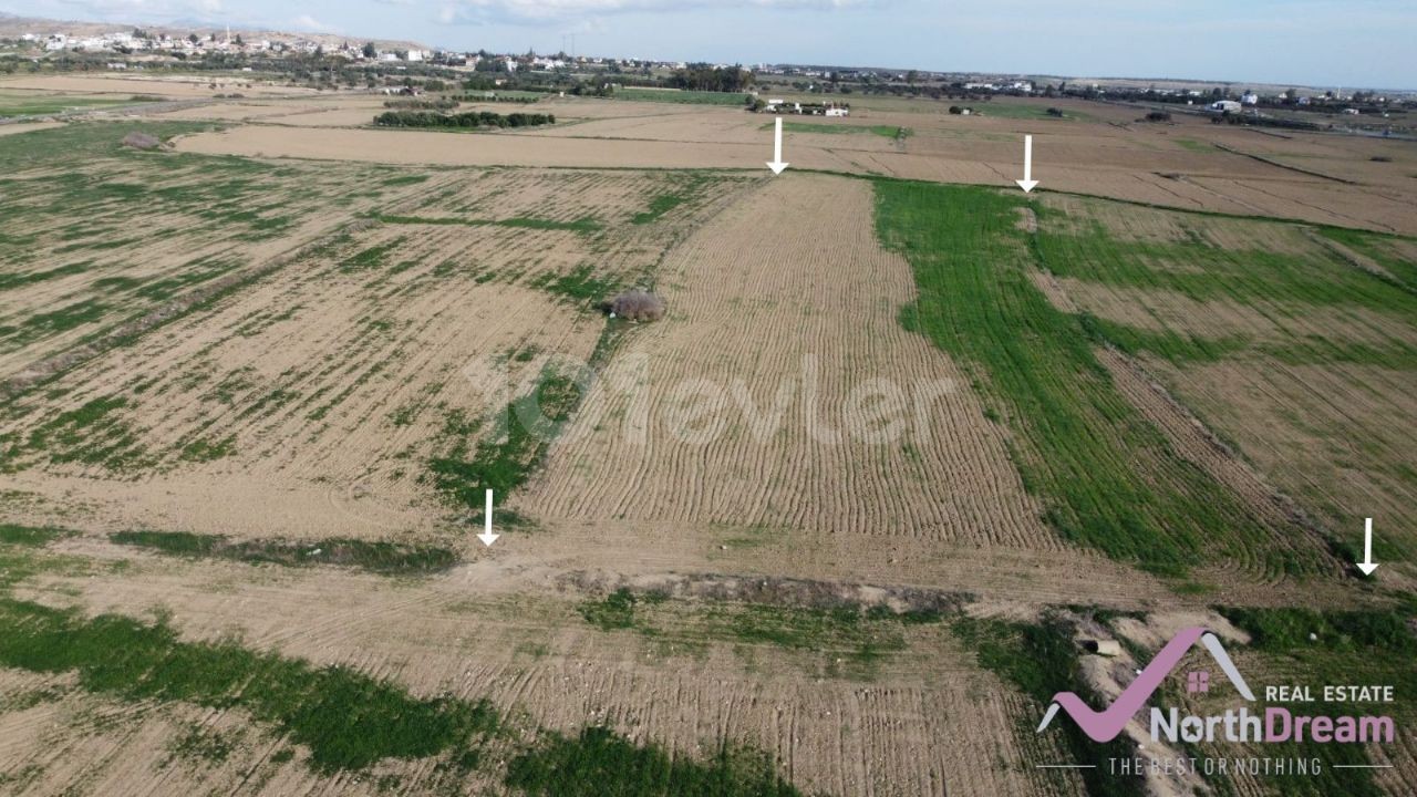 !!! INVESTMENT OPPORTUNITY !!! LEFKOŞA CHANGİR LAND OFFEN FÜR DIE ENTWICKLUNG