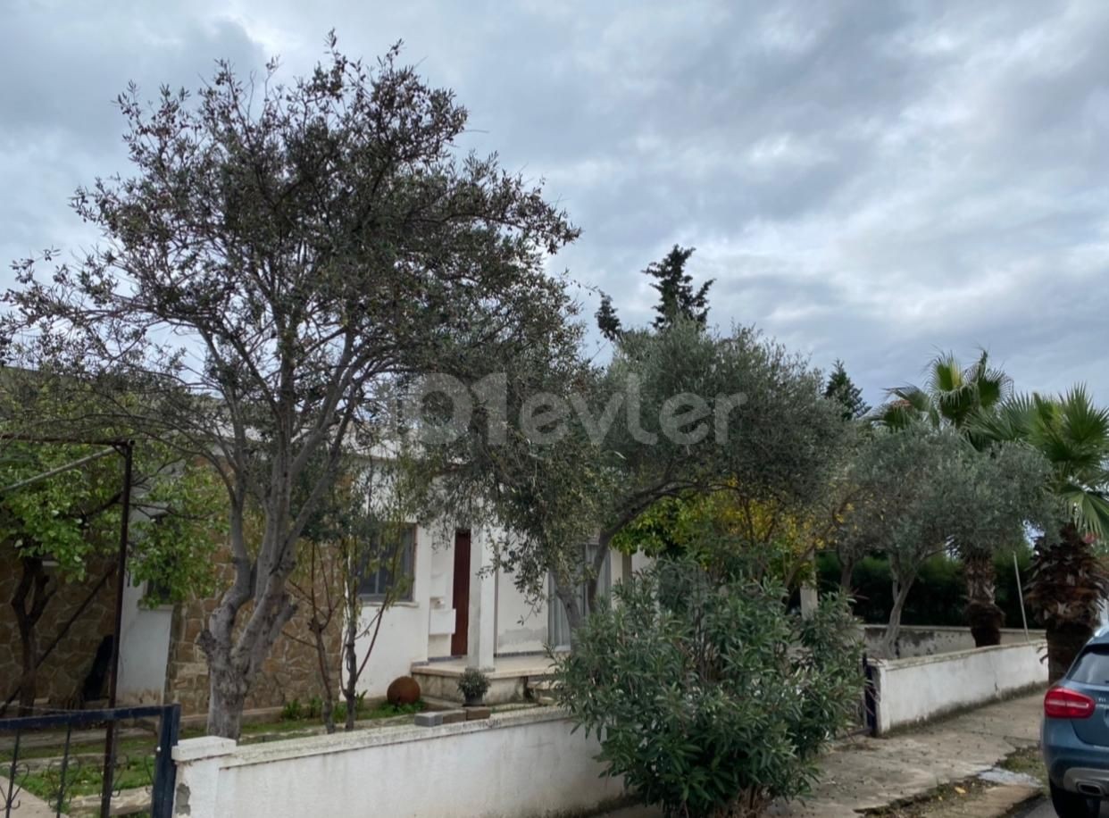 Detached House To Rent in Yeni Boğaziçi, Famagusta