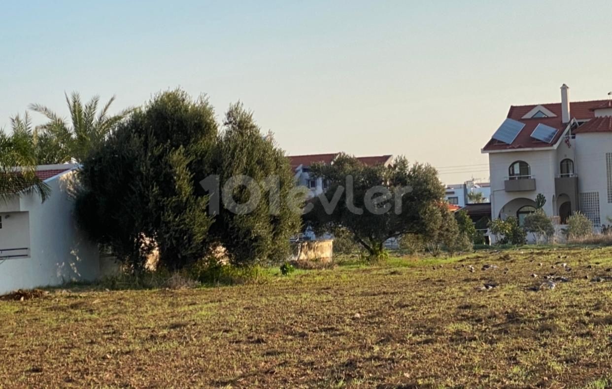 Detached House To Rent in Yeni Boğaziçi, Famagusta