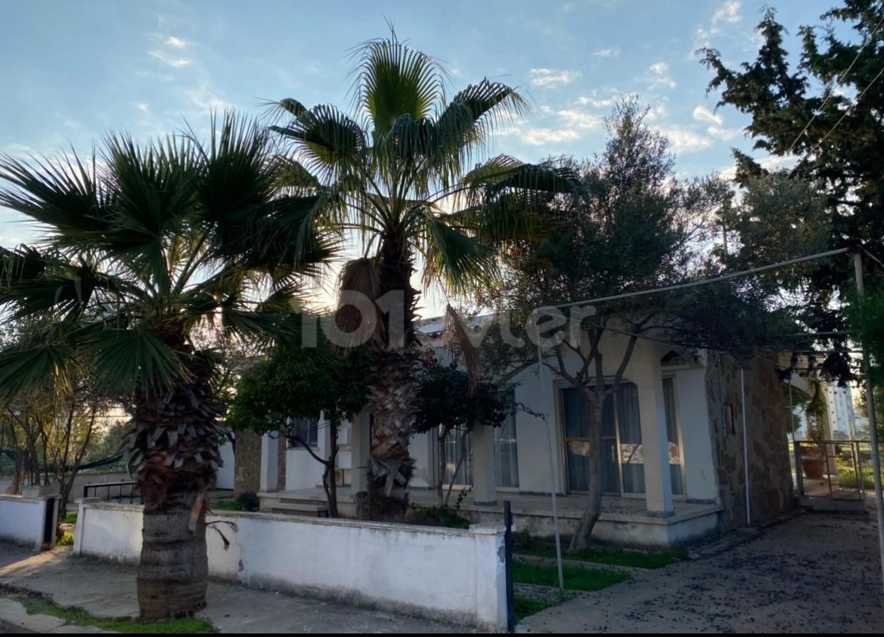 Detached House To Rent in Yeni Boğaziçi, Famagusta