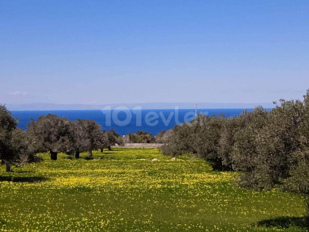 منطقه مسکونی برای فروش in Sipahi, ایسکله