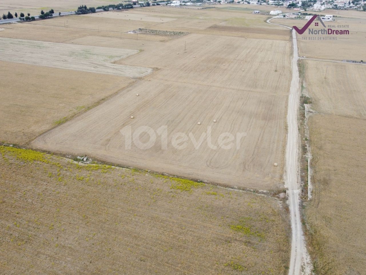 (Yatırım Fırsatı!) Gazimağusa Dörtyol Satılık Tarla