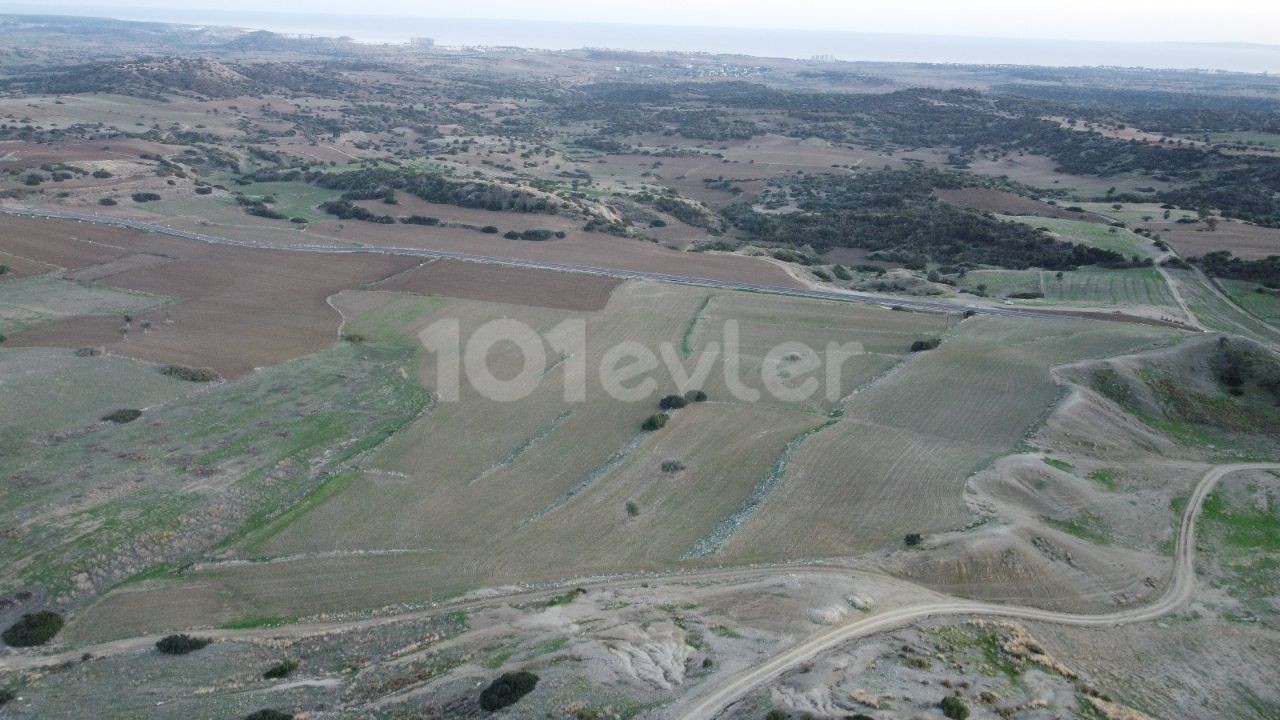 INVESTMENT OPPORTUNITY!!!! LAND FOR SALE IN İSKELE ARDAHAN