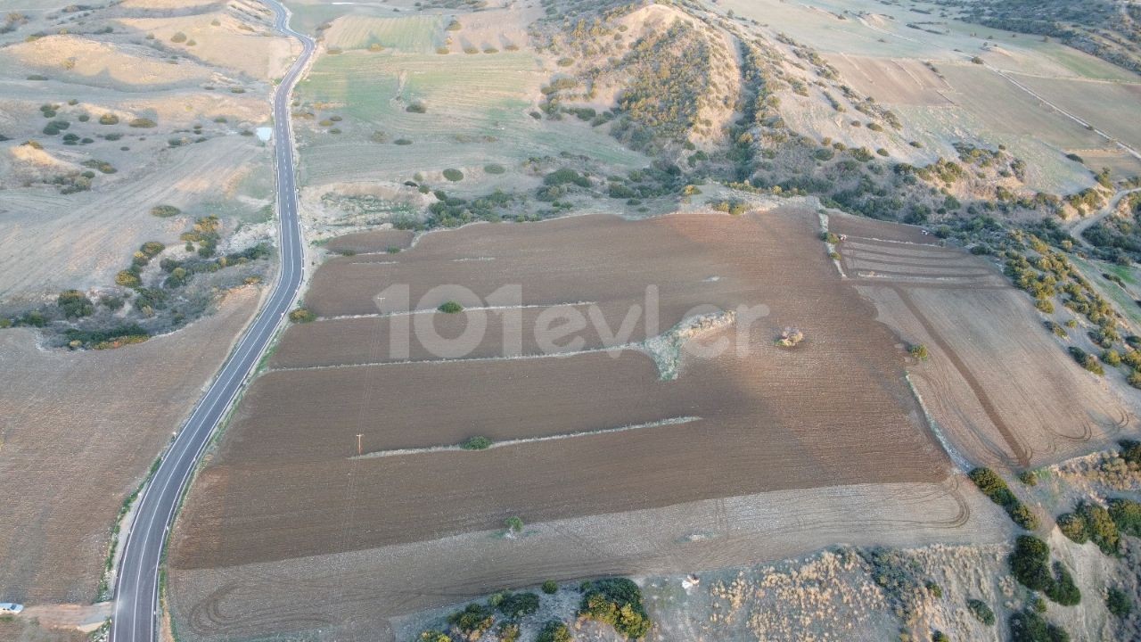 فرصت سرمایه گذاری!!! زمین برای فروش در ایسکله اردهان