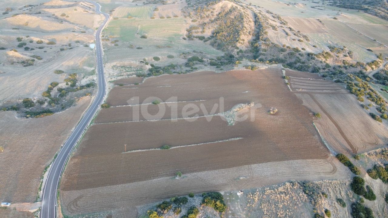 فرصت سرمایه گذاری!!! زمین برای فروش در ایسکله اردهان