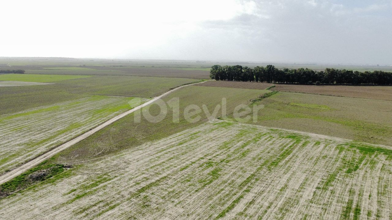 OPPORTUNITY PRICE!!! FAMAGUSTA 7.5 DECLAR FIELD WITH DAFFELCIS