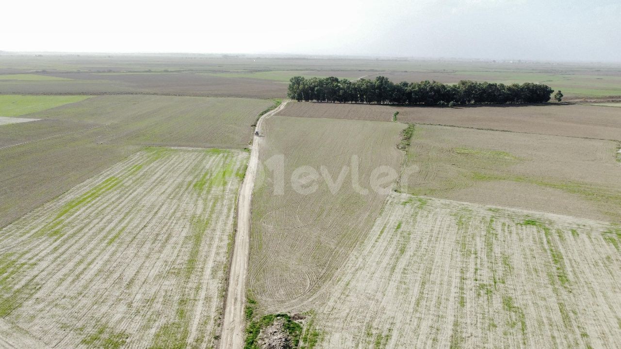 OPPORTUNITY PRICE!!! FAMAGUSTA 7.5 DECLAR FIELD WITH DAFFELCIS