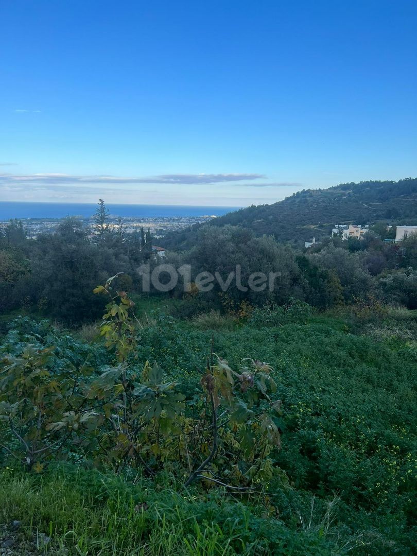 Land For Sale In Girne Lapta