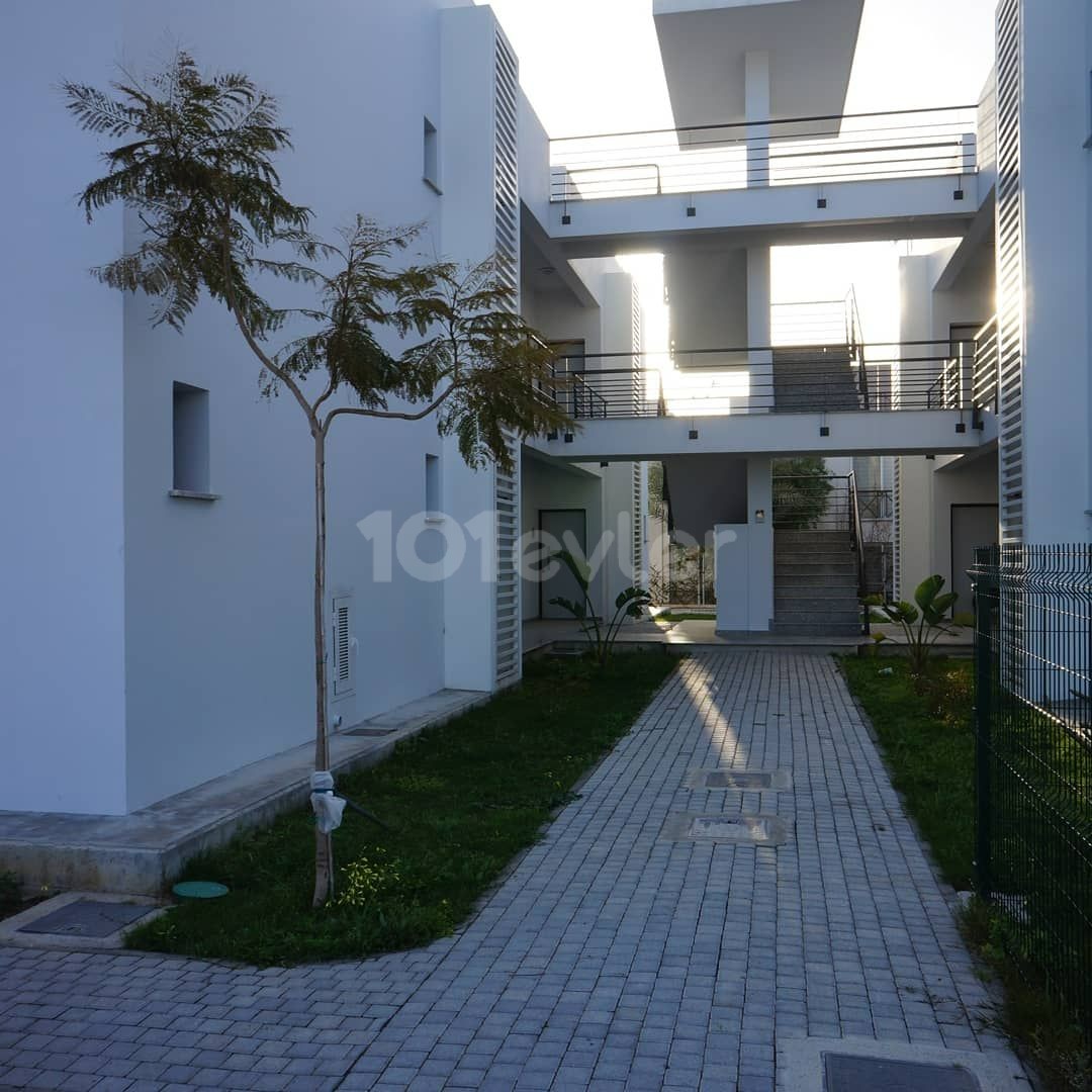 2+1 Apartment for Rent in a Complex with Pool Ozankoy 