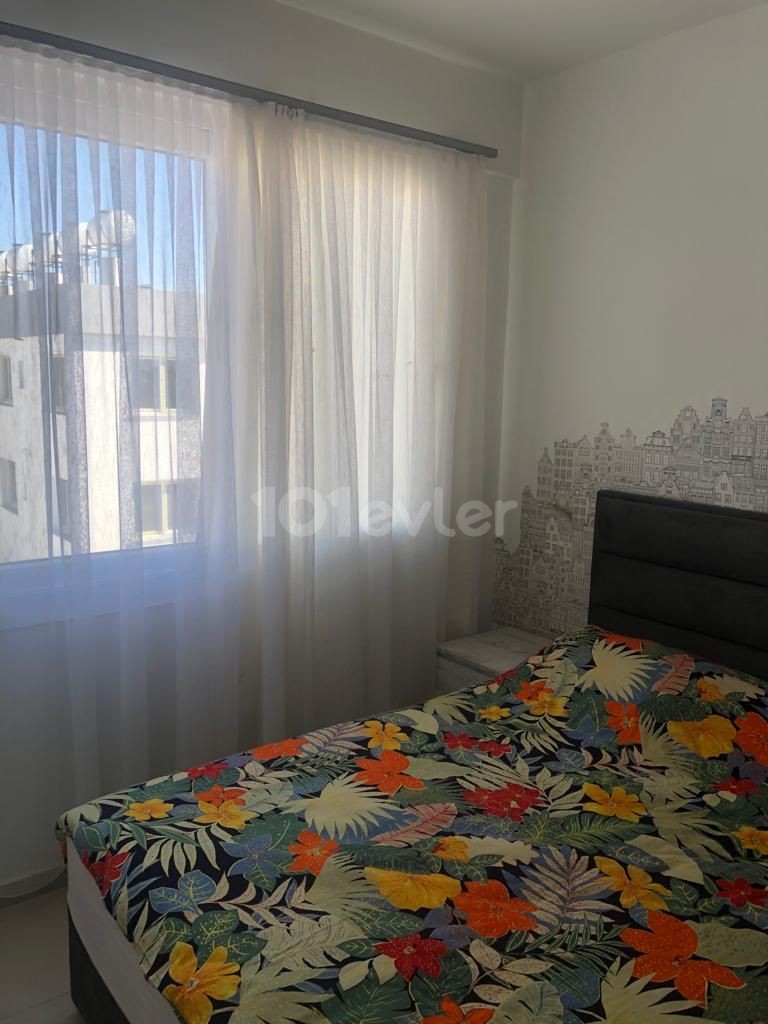 LUXURY FULL+FULL LUXURY FURNISHED 2+1 WITH TERRACE FOR RENT IN LEFKOSA