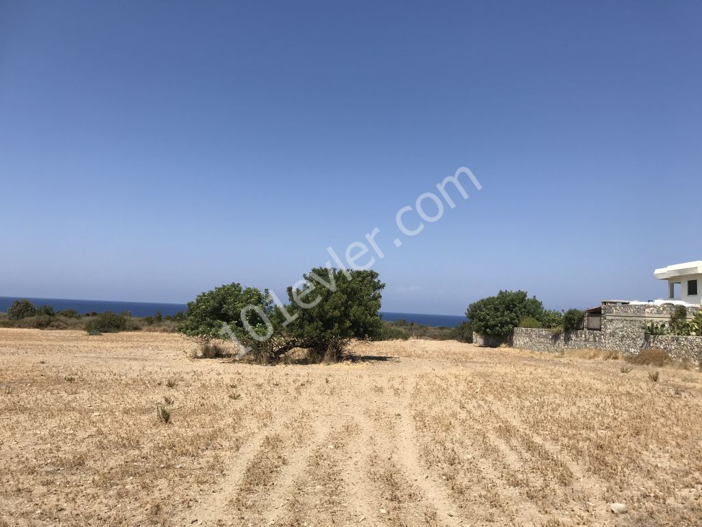 Girne Karşı yaka Kahverengi bölge Türk malı Arazi