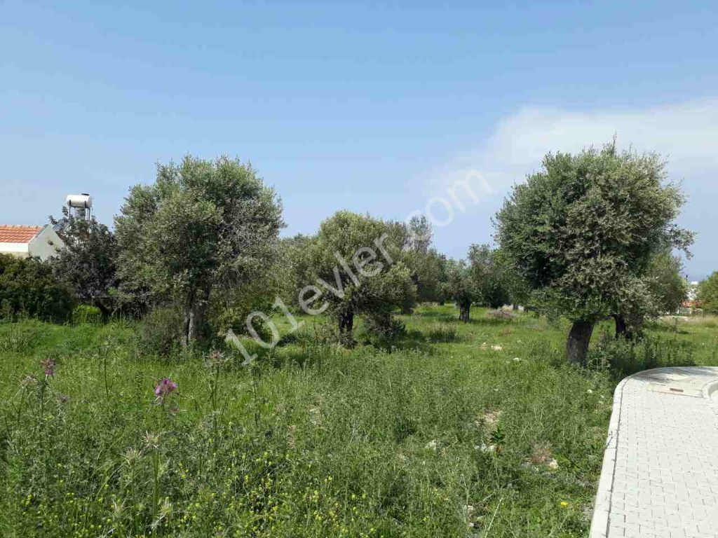 A PLOT OF LAND FOR SALE SUITABLE FOR THE CONSTRUCTION OF A VILLA IN A PERFECT LOCATION IN KYRENIA OZANKOY DEC ** 