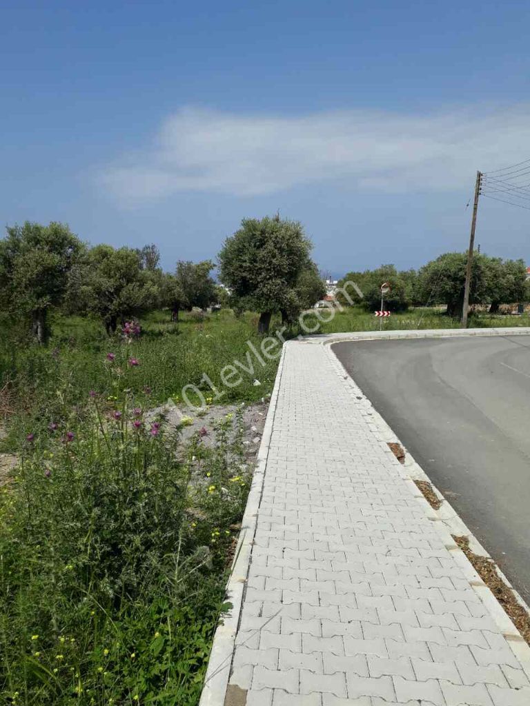 A PLOT OF LAND FOR SALE SUITABLE FOR THE CONSTRUCTION OF A VILLA IN A PERFECT LOCATION IN KYRENIA OZANKOY DEC ** 