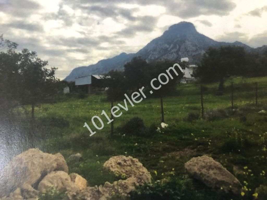 LAND ZUM VERKAUF IN AUSGEZEICHNETER LAGE AN DER HAUPTSTRAßE IN KYRENIA KARSIYAKA ** 