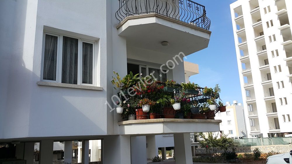 Flat To Rent in Girne Merkez, Kyrenia