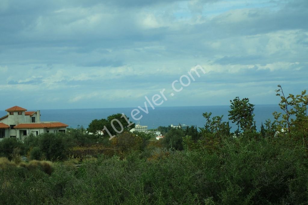 رشته برای فروش in Alsancak, گیرنه